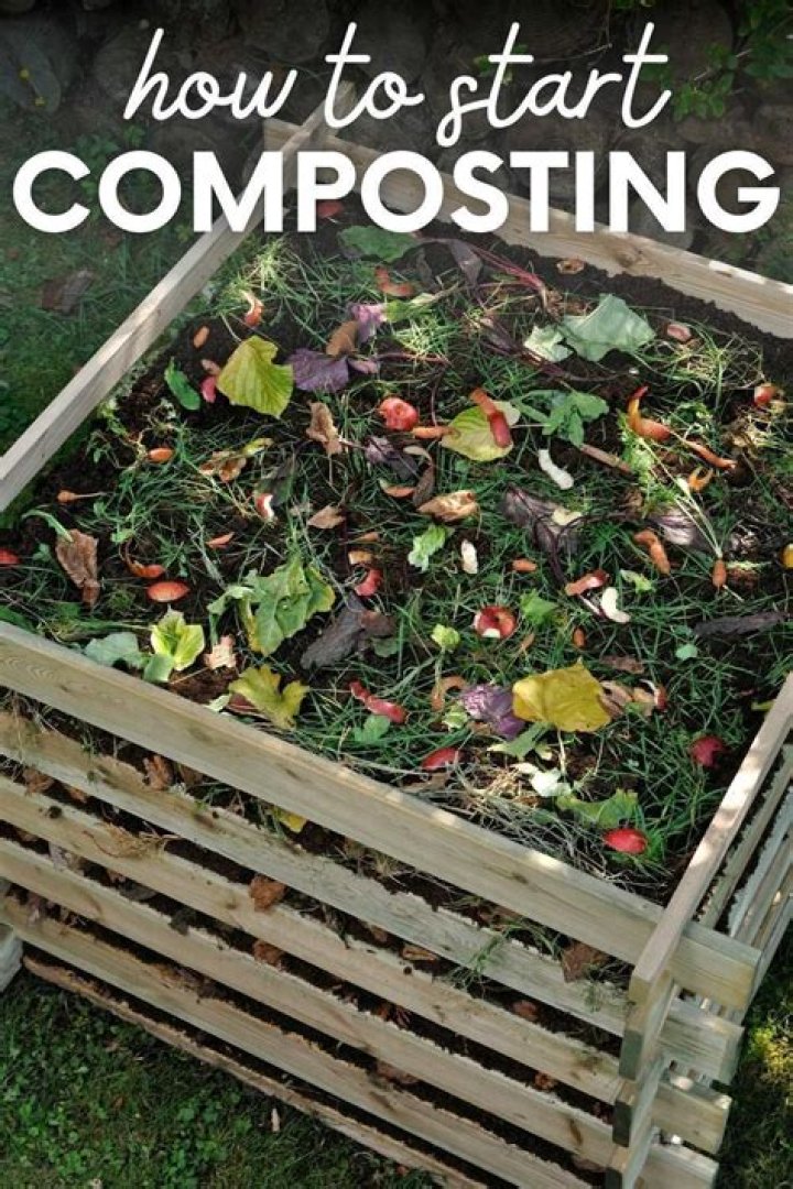 What time of year should you compost?