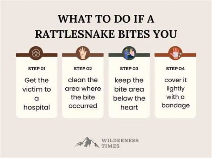 What to do if bitten by a rattlesnake while hiking?