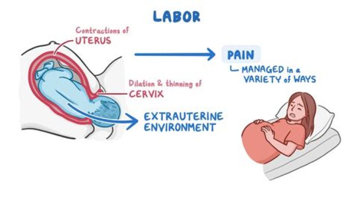 What triggers labour naturally?