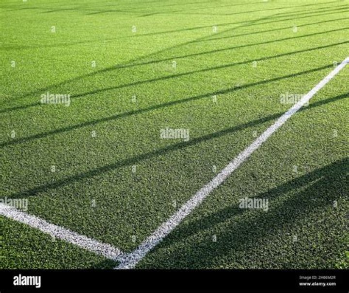 What type of grass is used for football fields?