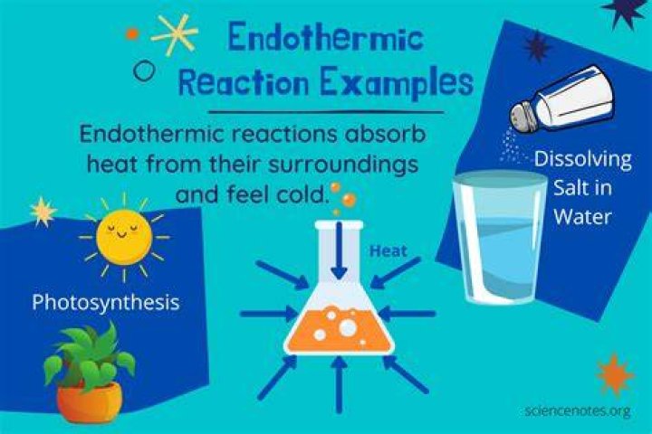 What type of reaction is baking soda and vinegar endothermic or exothermic?