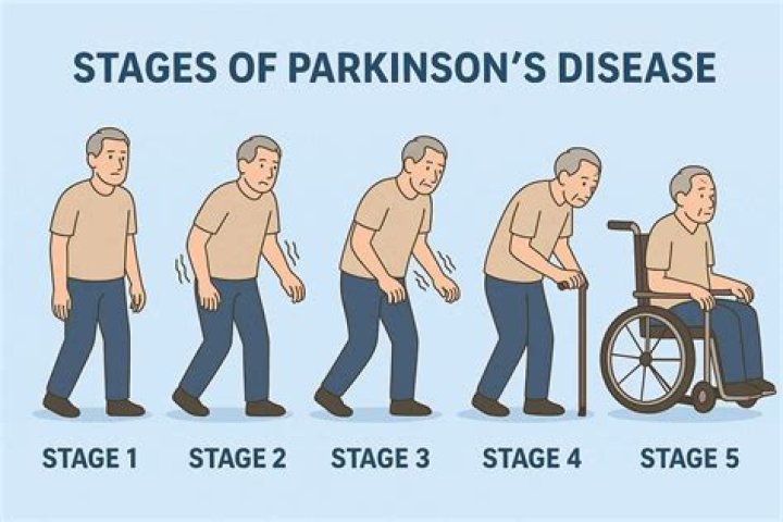What Vitamin stopped shaking in Parkinson's?