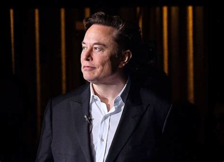What was Elon Musk's income in 2019?