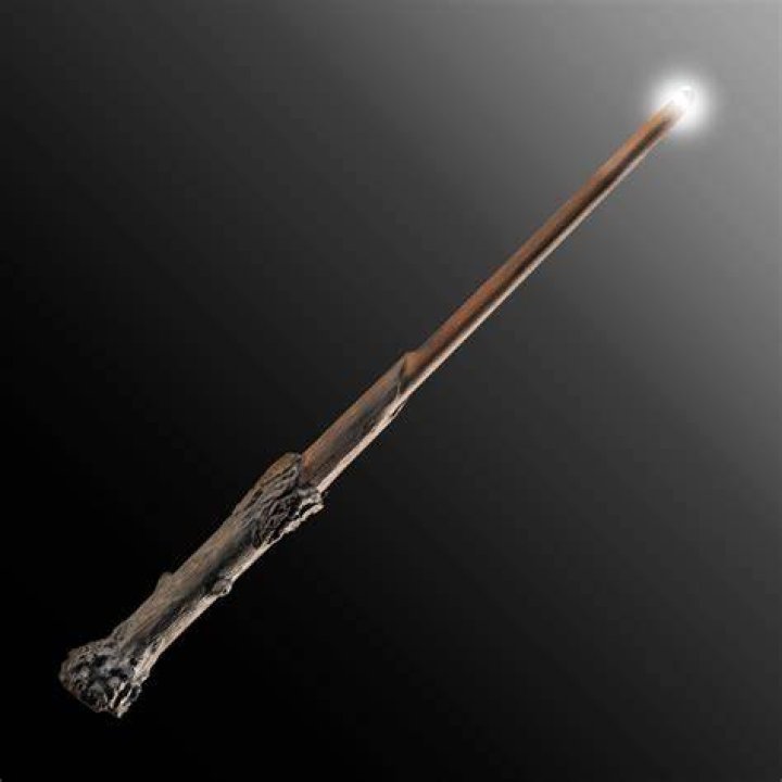 What was Ron's wand?