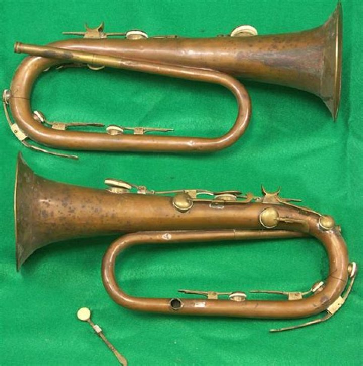 What was the first brass instrument?
