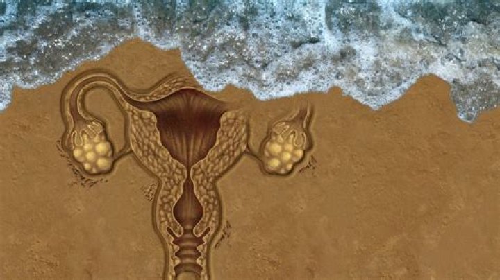 What week is miscarriage most common?