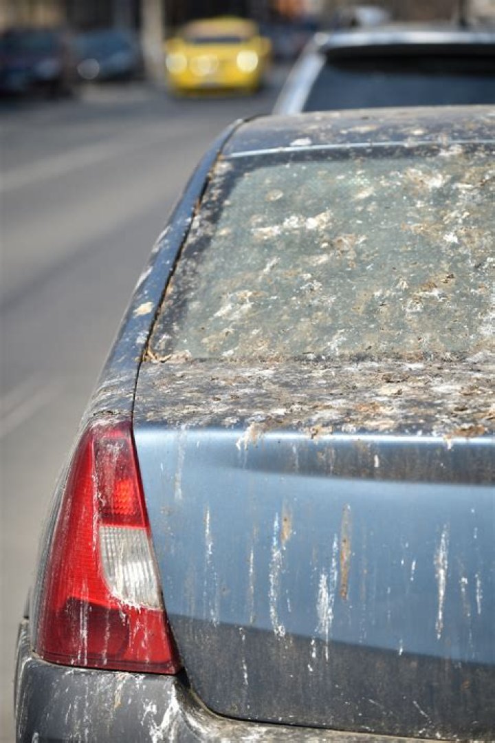 What will ruin car paint overnight?