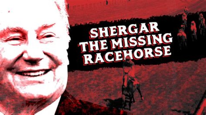 What year did Shergar go missing?