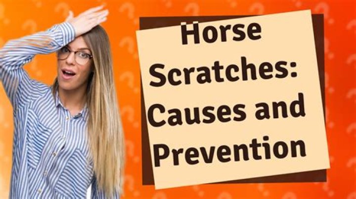 When a horse is scratched?