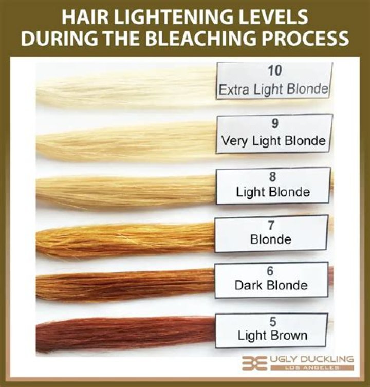 When bleaching hair do you start at the top or bottom?