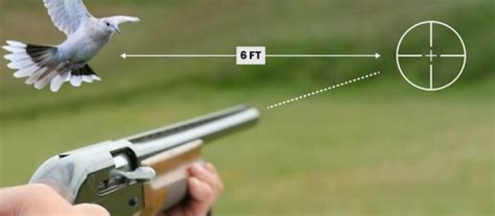 When can you shoot in handball?