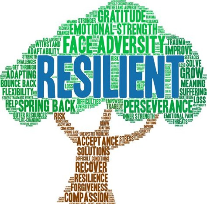 When did resilience become a word?