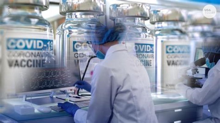 When did the COVID-19 vaccine start in the UAE?
