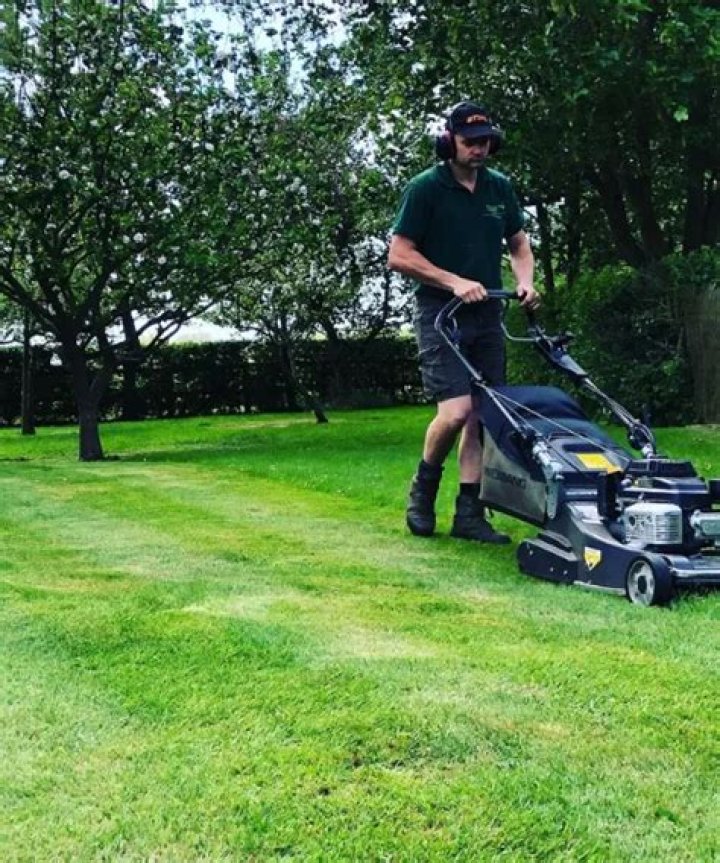 When should I scarify lawn?