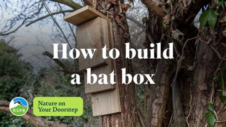 When should you put up a bat house?