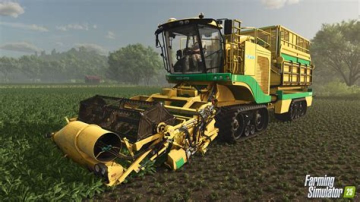 When should you roll fields?
