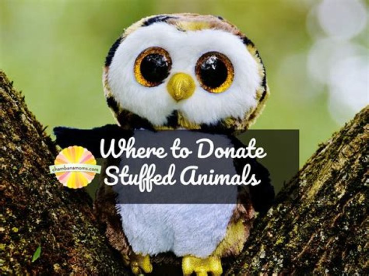 Where can I donate stuffed animals in Minnesota?