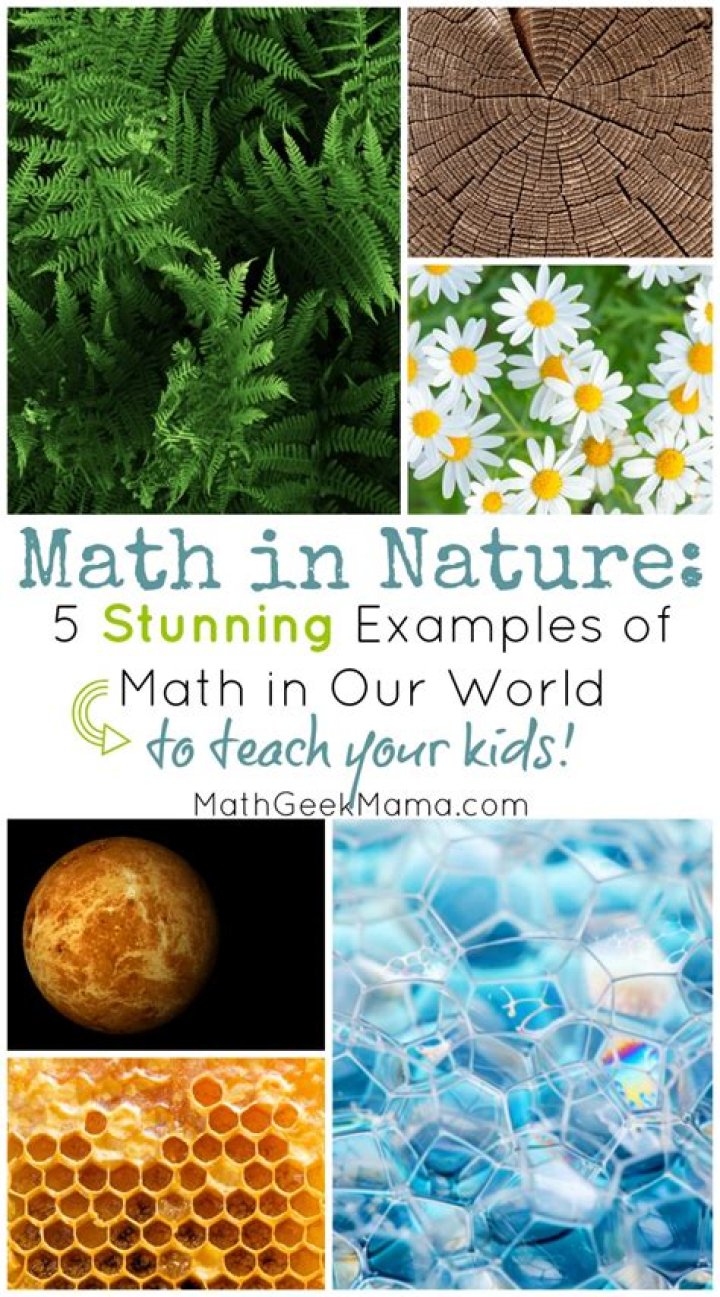 Where can we see mathematics in nature?
