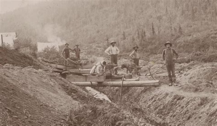 Where did forty-niners come from?
