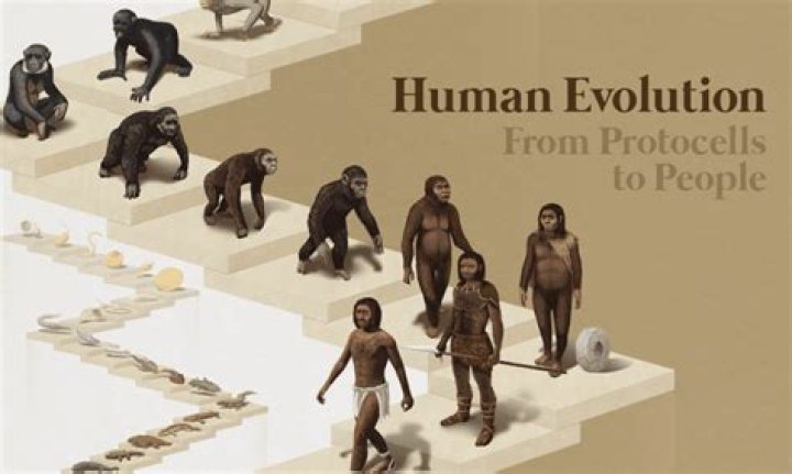 Where did humans come from in the beginning?