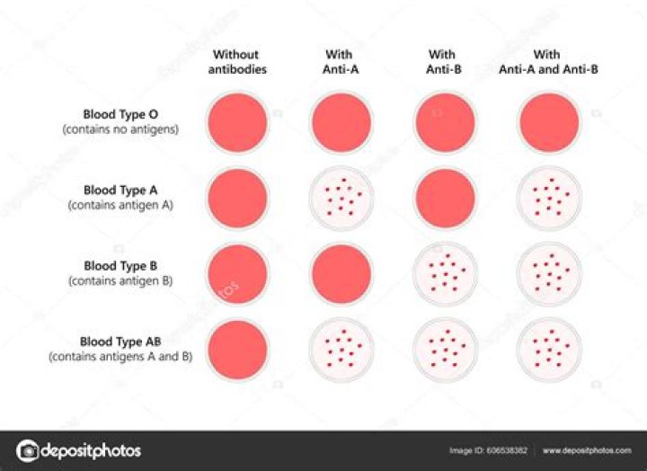 Where did Type O blood originate?