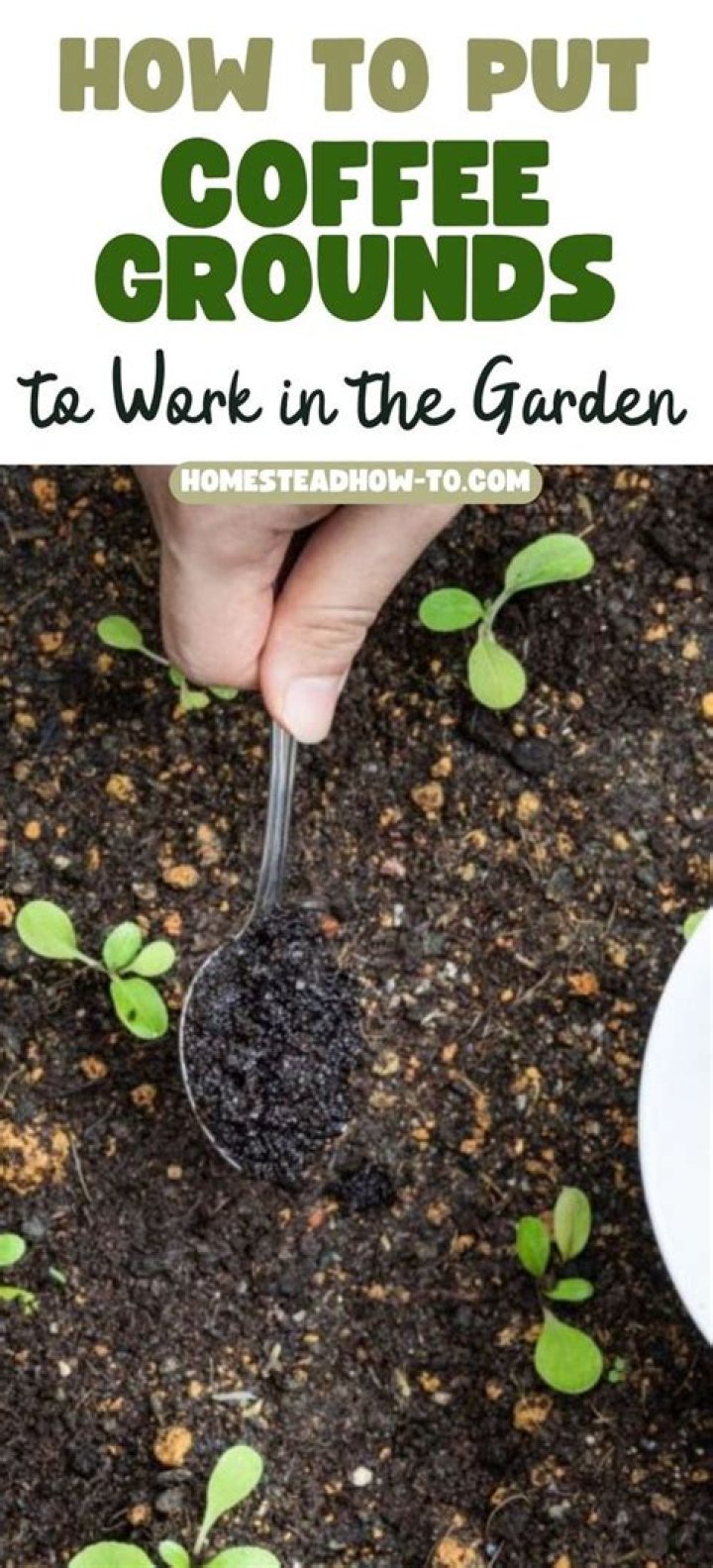 Where do you put coffee grounds in your garden?