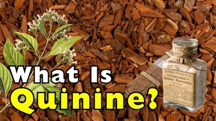Where does quinine come from in tonic water?
