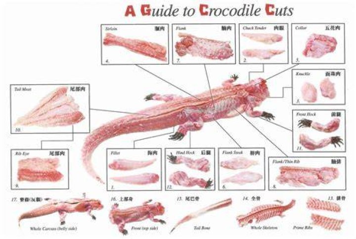 Where is crocodile meat eaten?