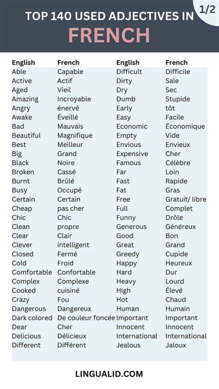 Which adjectives are irregular in French?