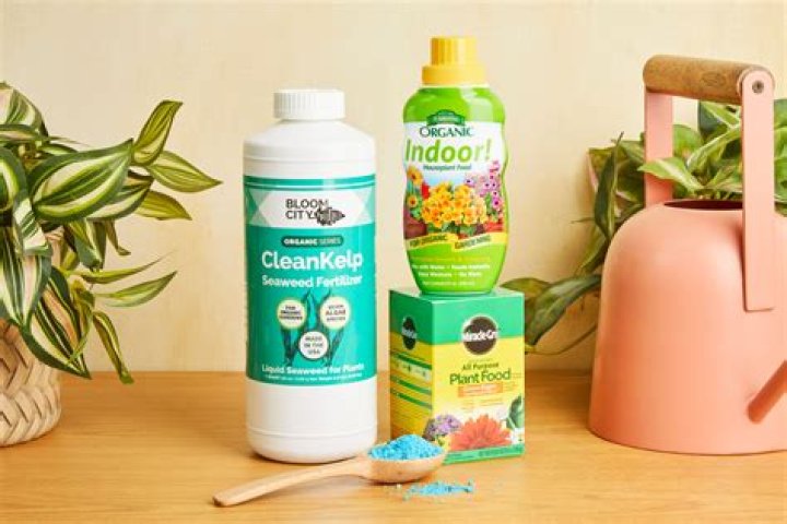 Which fertilizer is best for indoor plants?