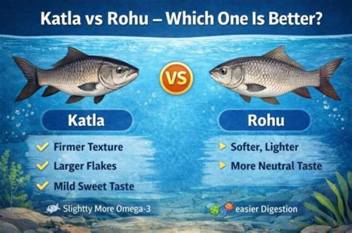 Which fish is good Catla or ROHU?