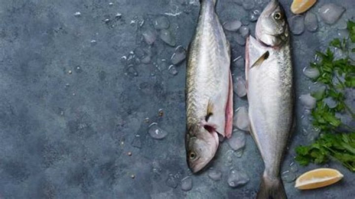 Which fish is very tasty?