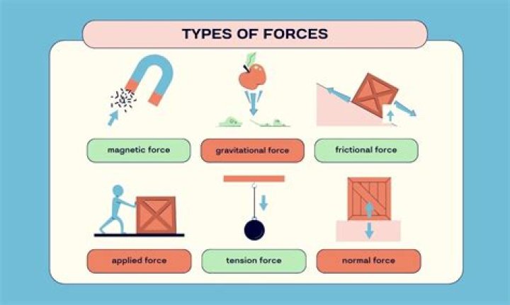 Which force acts on an object when it is thrown up?