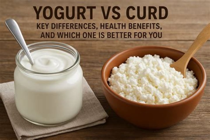 Which is better curd or milk?