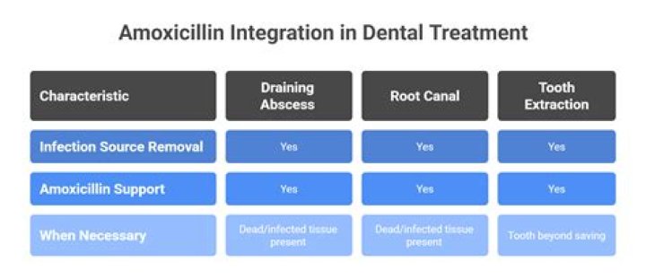 Which is better for tooth infection amoxicillin or cephalexin?