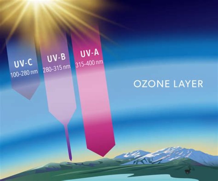 Which is better ozone or UV?