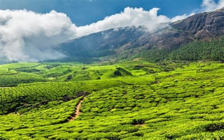 Which is colder Munnar or Ooty?
