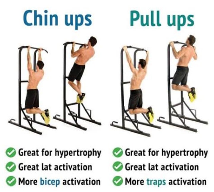 Which is harder chin-ups or pull-ups?
