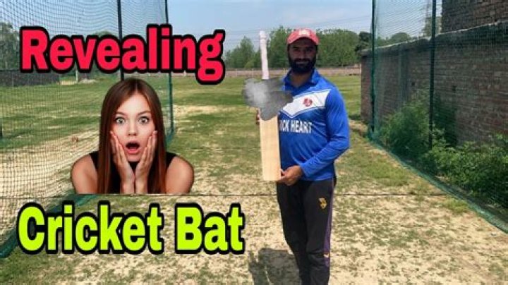 Which is the best English willow bat?