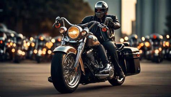 Which is the heaviest bike?