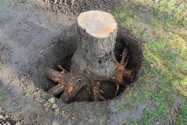 Which is the off stump?