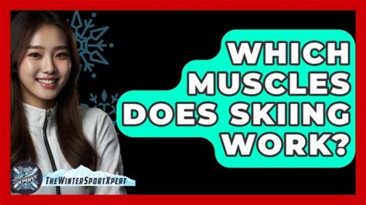 Which muscles does skiing work?