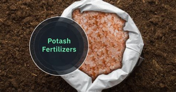 Which soil is rich in potash?