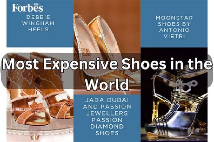 Who got the most shoes in the world?