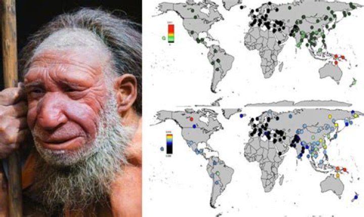 Who has Neanderthal DNA?