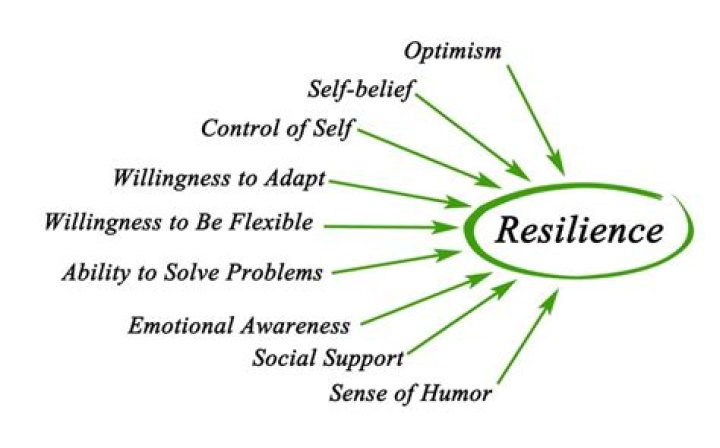Who has resilience?