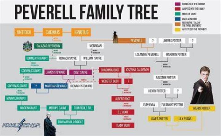 Who is the Peverell family in Harry Potter?