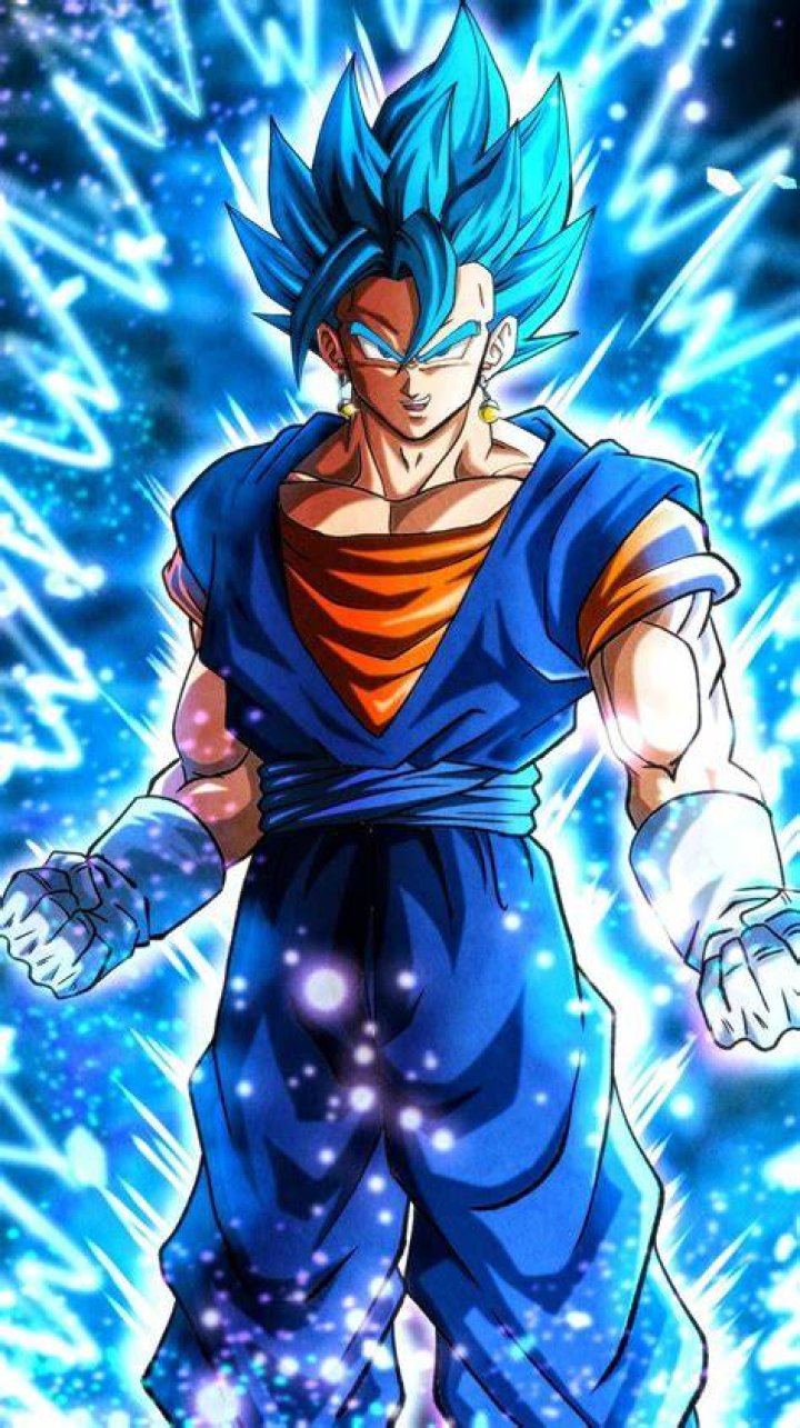 Who is vegito?