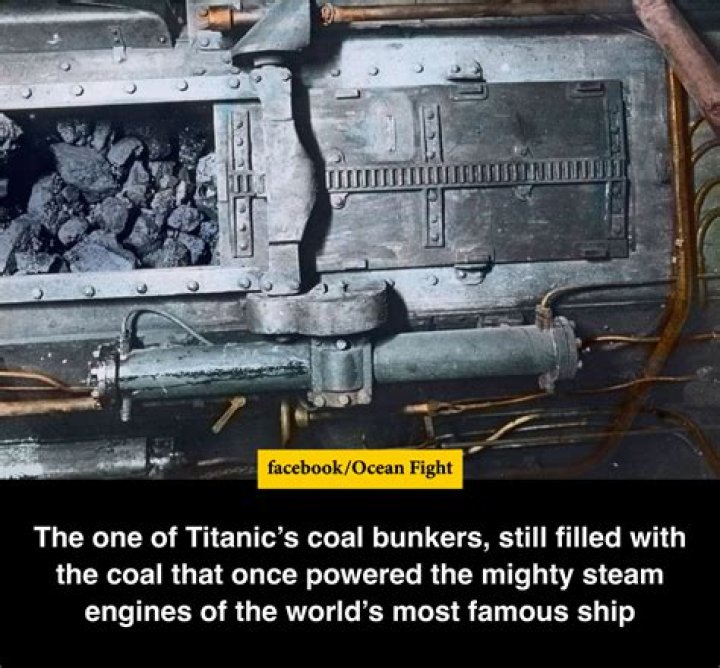 Who shoveled coal on the Titanic?