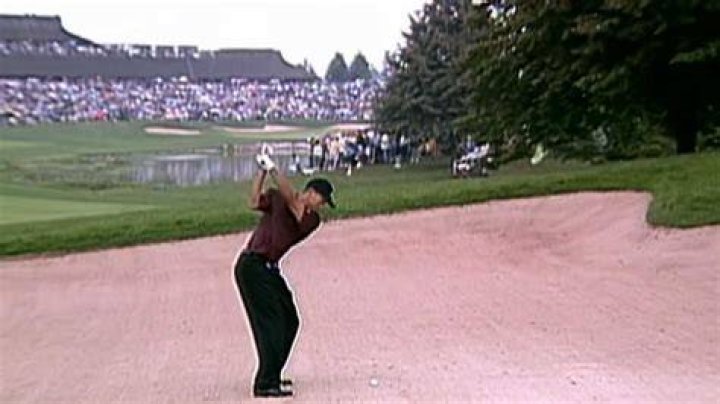 Who was Tiger Woods best swing coach?
